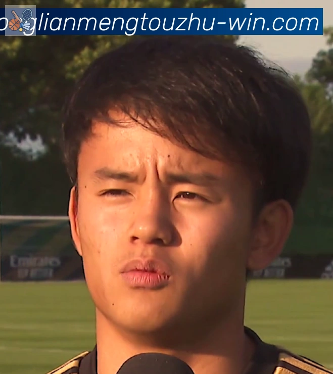 维尼修斯